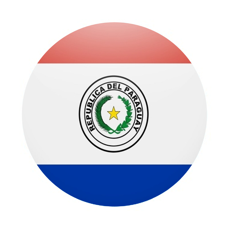 Development of Minwon24 Platform Adoption Plan for Paraguay